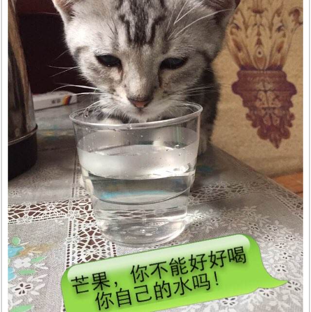 広島修道大学硕士毕业证